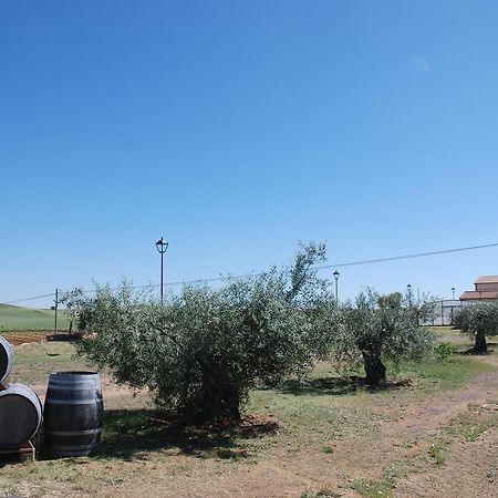 Casa Rural Teso De La Encina Villamor de los Escuderos المظهر الخارجي الصورة