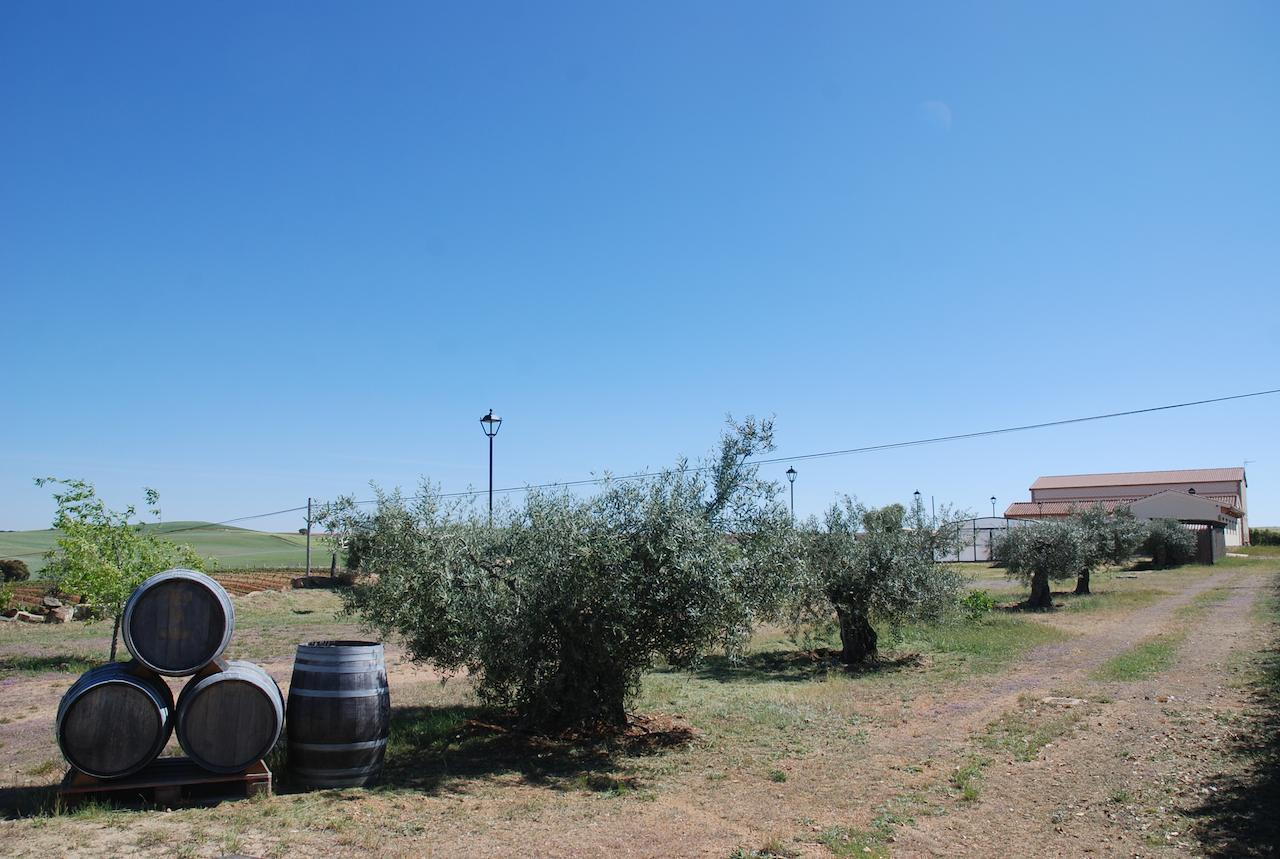 Casa Rural Teso De La Encina Villamor de los Escuderos المظهر الخارجي الصورة