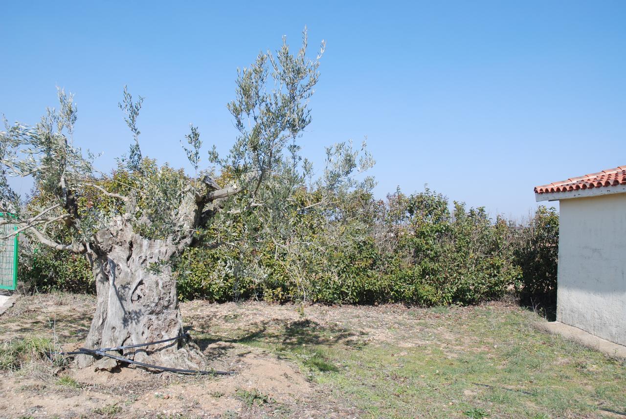 Casa Rural Teso De La Encina Villamor de los Escuderos المظهر الخارجي الصورة
